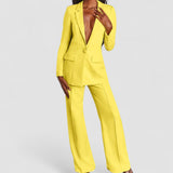 Elegante Blazer e Calças feminino