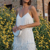 Samba - A Elegância em Movimento feminino