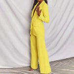 Elegante Blazer e Calças feminino