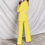Elegante Blazer e Calças feminino